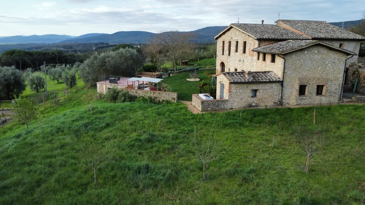 Casale tra gli ulivi